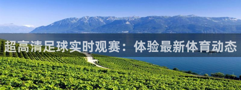 龙门直播体育直播：超高清足球实时观赛：体验最新体育动态