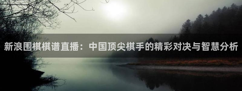 龙门直播间：新浪围棋棋谱直播：中国顶尖棋手的精彩对决与智慧分析