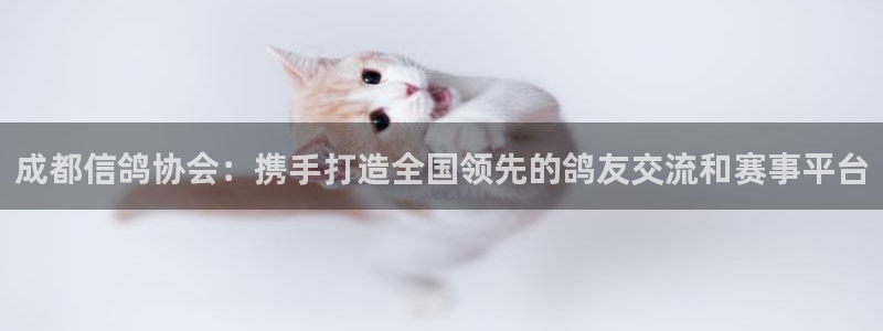 龙门直播官网下载：成都信鸽协会：携手打造全国领先的鸽友交流和赛事平台
