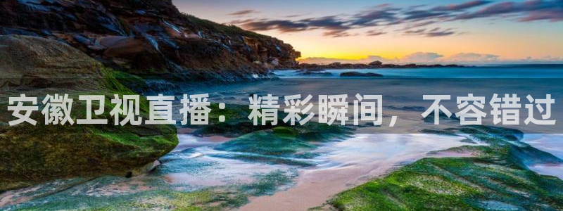 龙门直播下载：安徽卫视直播：精彩瞬间，不容错过